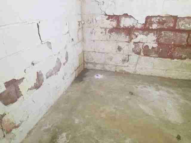 Testing again(54).jpg